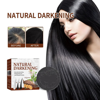Natural Darkening Polygonum Hair Soap (Original)