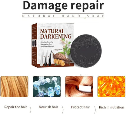 Natural Darkening Polygonum Hair Soap (Original)